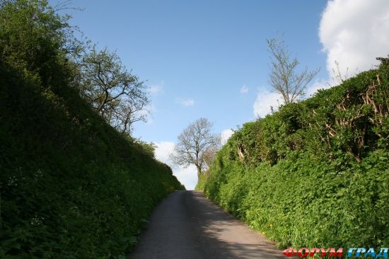 Glastonbury Tor/ Гластонбери Тор