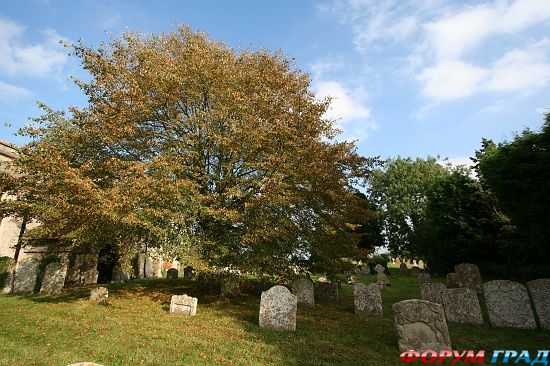 Церковь Св. Петра в Великой Хасли/Great Haseley Parish Church