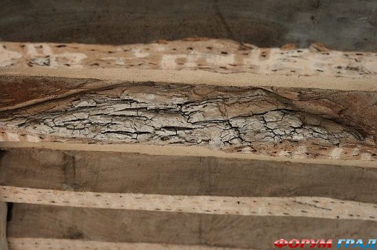 Оддо часовня, Дирхерст/Odda's Chapel, Deerhurst