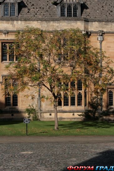колледж Магдалены/Magdalen College, Oxford
