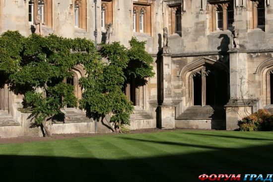 колледж Магдалены/Magdalen College, Oxford
