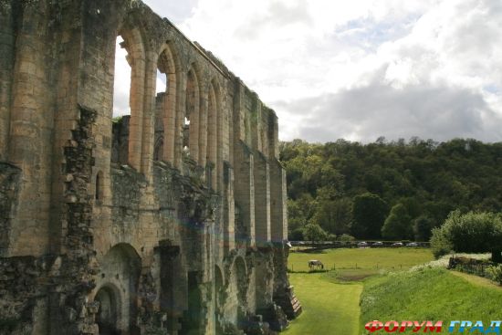 Rievaulx Abbey