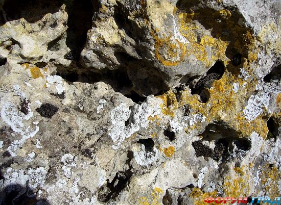 Rollright Stones