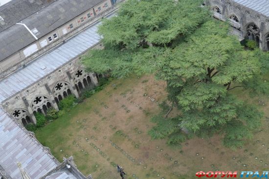 собор Солсбери/Salisbury Cathedral