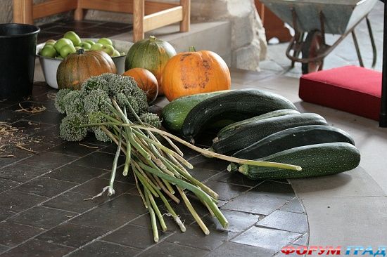 Тейм Приходская церковь / Thame Church