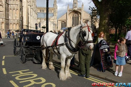 йоркский собор/York Minster