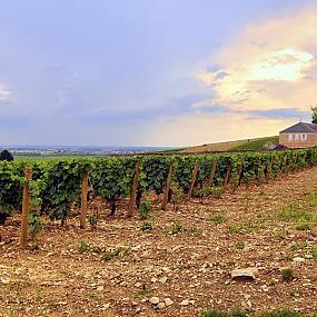 france-travel-146