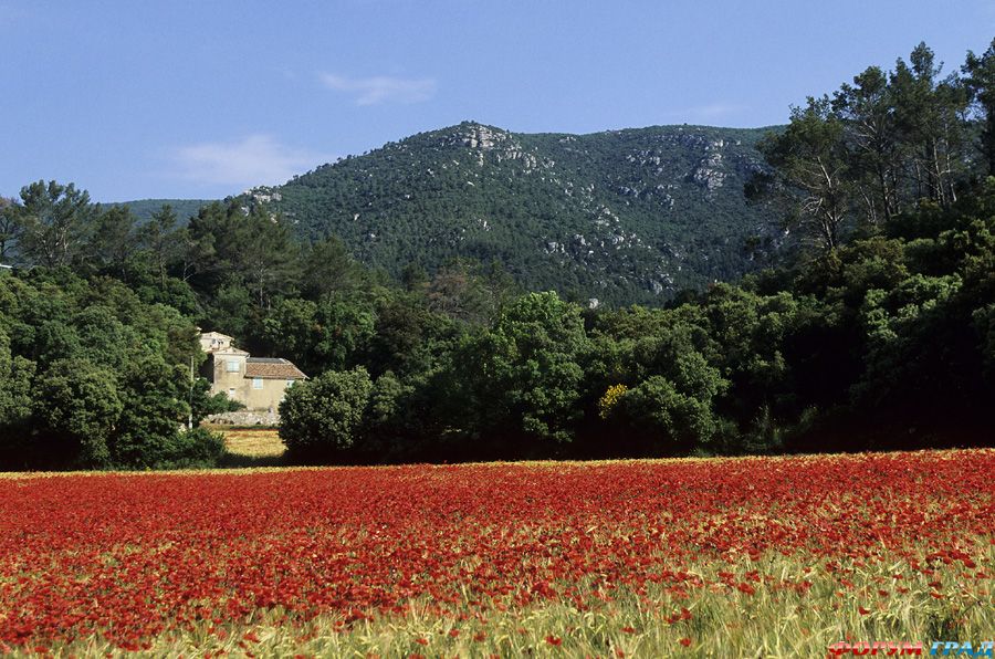 france-travel-885 982747