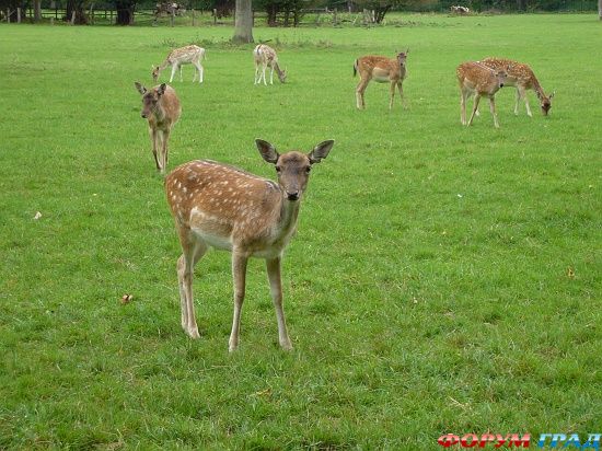 In the Footsteps of C.S. Lewis, Oxford