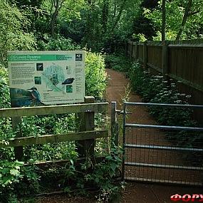 In the Footsteps of C.S. Lewis, Oxford