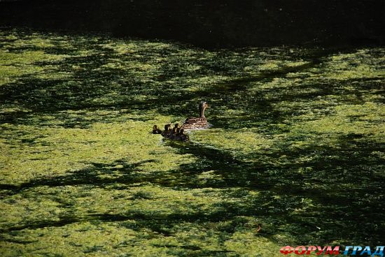 In the Footsteps of C.S. Lewis, Oxford