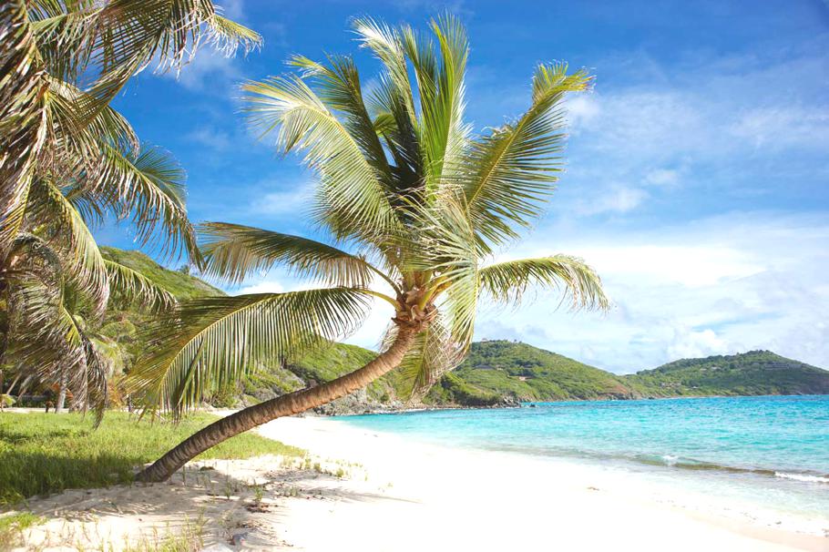 luxury-caribbean-villa-19