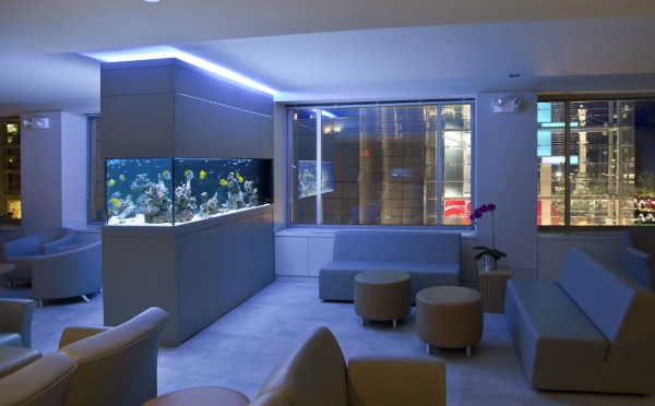 modern-office-aquarium-01