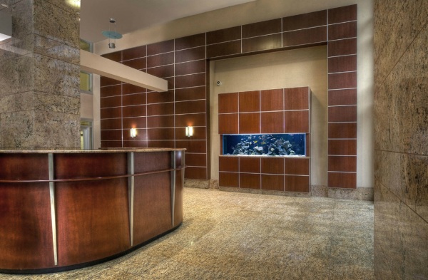 modern-office-aquarium-05