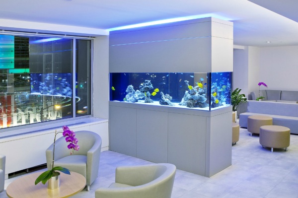 modern-office-aquarium-09