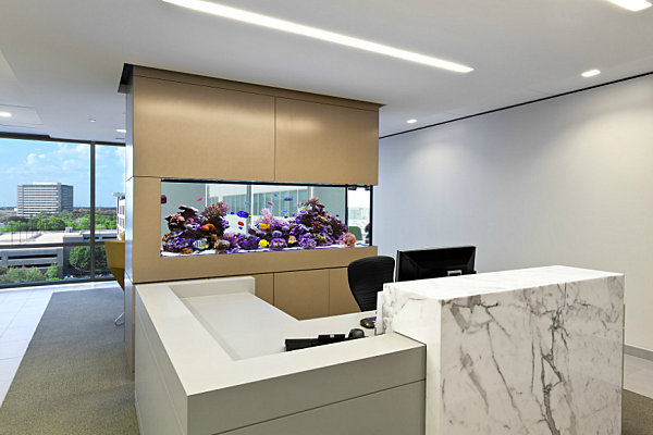 modern-office-aquarium-11
