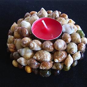 seashells-decor-ideas-01