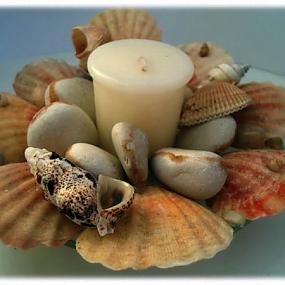 seashells-decor-ideas-09