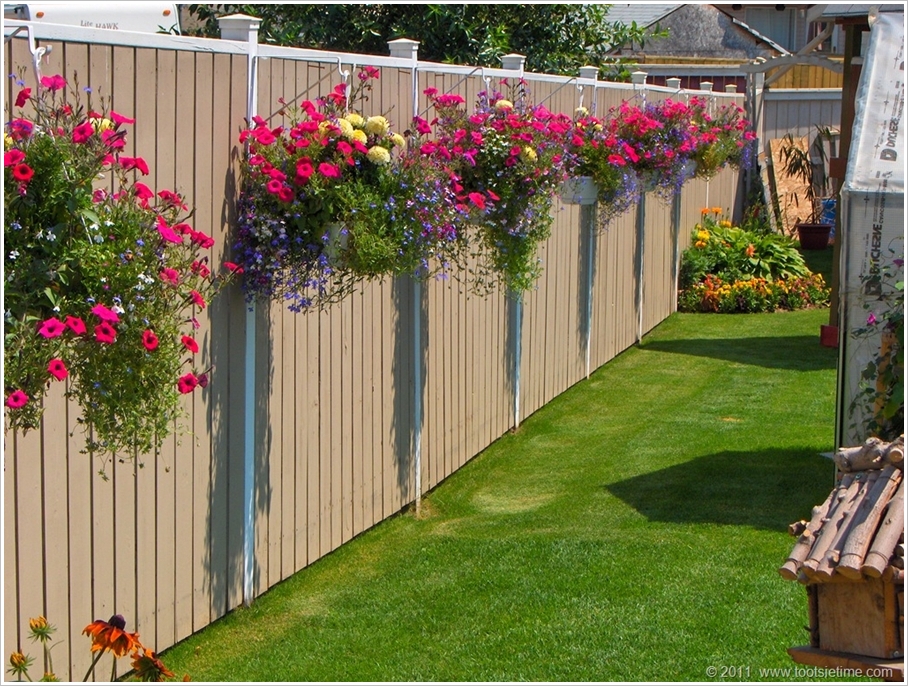 10 ideas for a fence with flowers-01