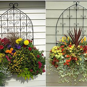 10 ideas for a fence with flowers-06