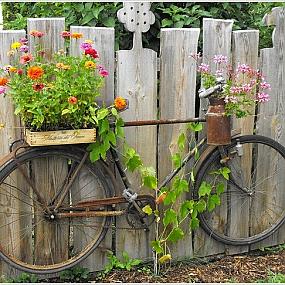 10 ideas for a fence with flowers-07