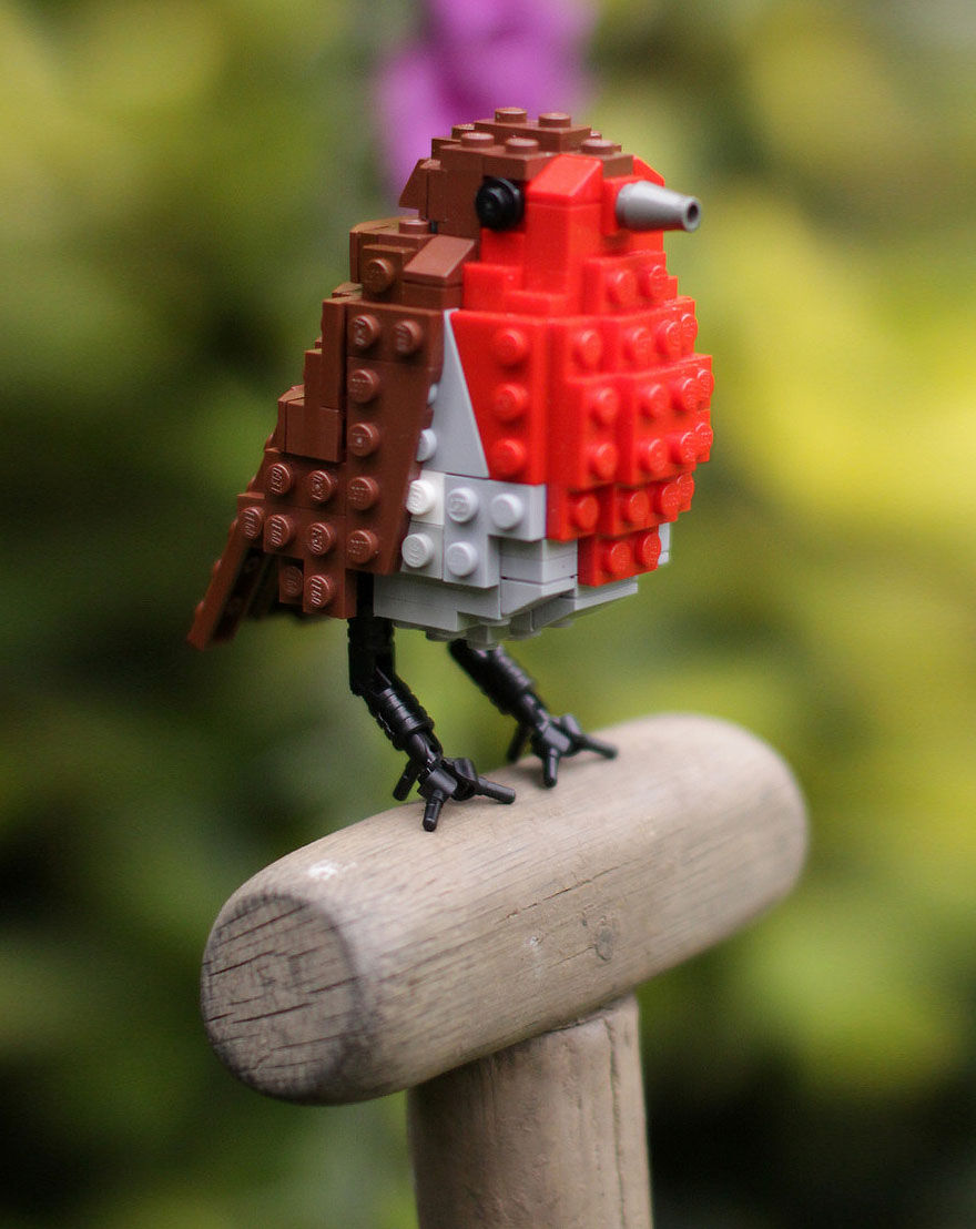 creative gift ideas for birds lovers-28