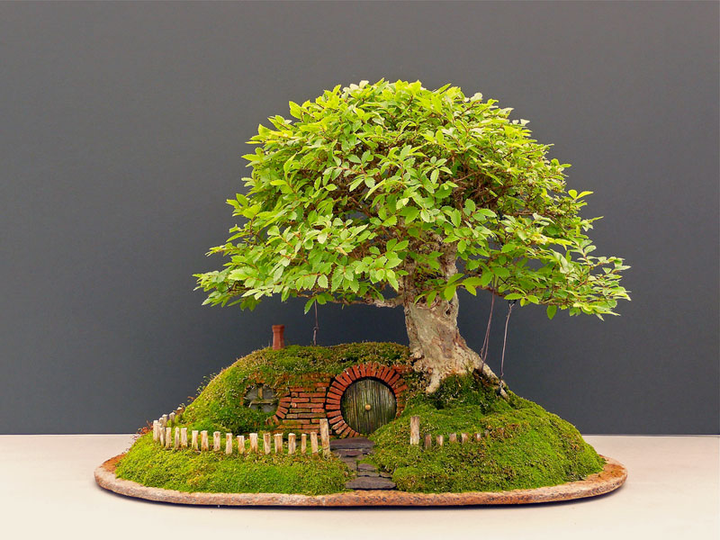 fantastic the hobbit house-01