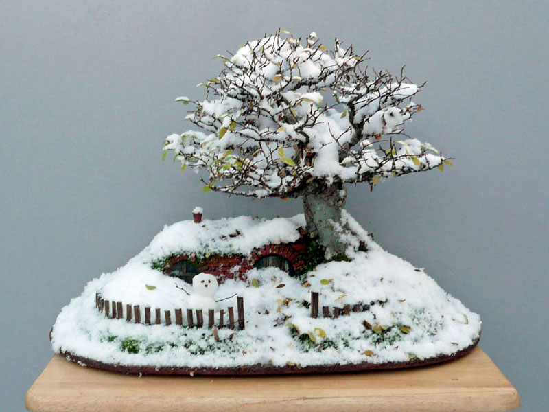 fantastic the hobbit house-04