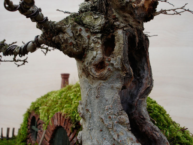 fantastic the hobbit house-12