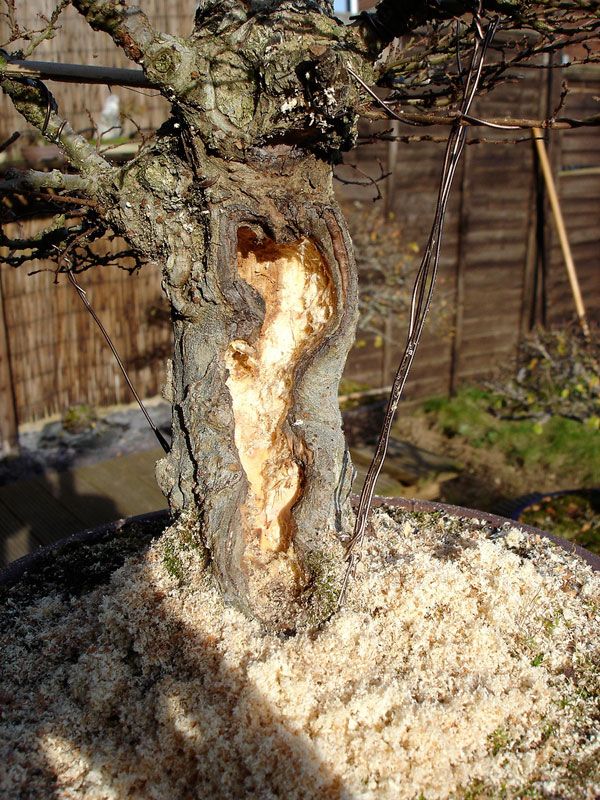 fantastic the hobbit house-14