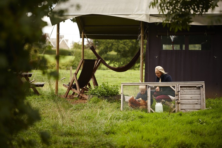 farm in the manor of alton-13