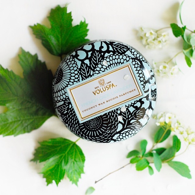 french cade lavender