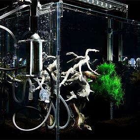 high-tech underwater bonsai-04
