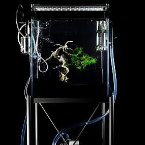 high-tech underwater bonsai-05