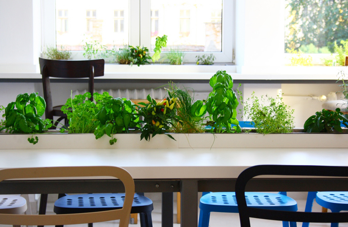 iquest-in-romania-05