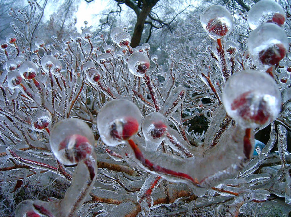 magical ice and snow formations-09