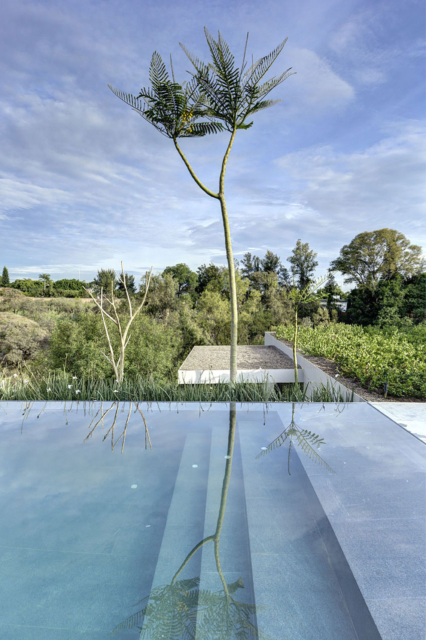 Бассейн особняка LA House от Elias Rizo Arquitectos