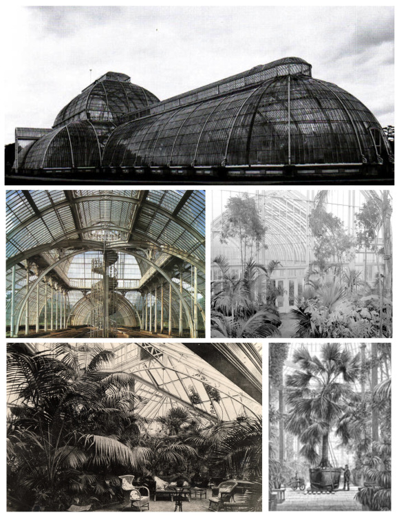 palm house-02