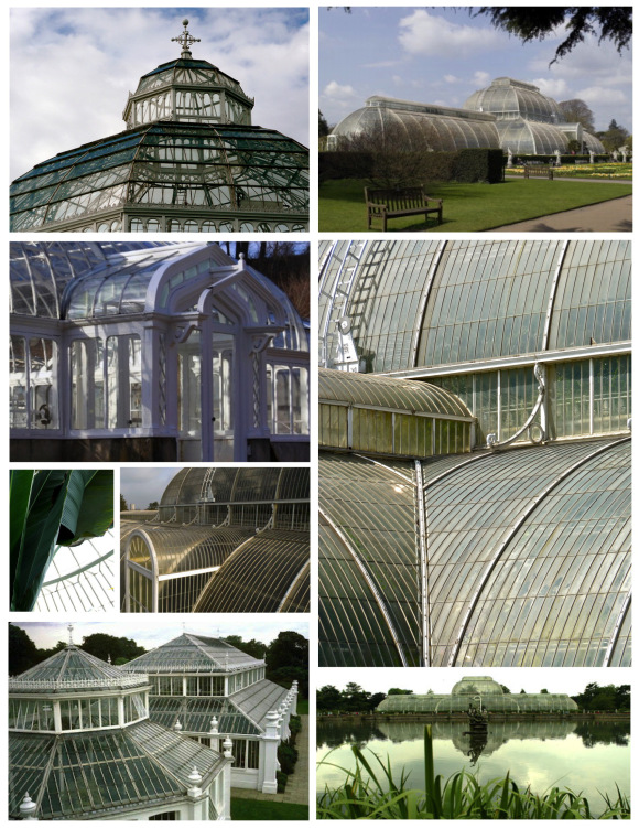palm house-03