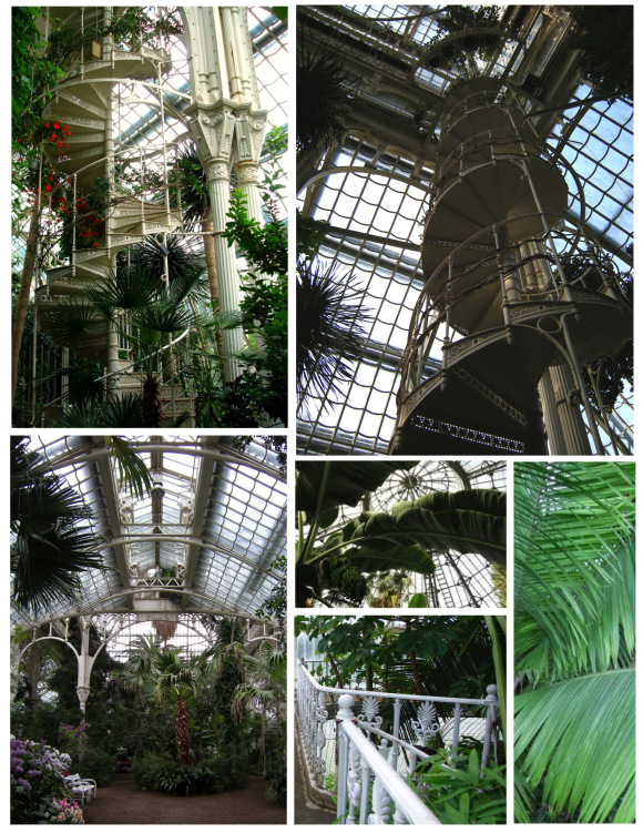 palm house-04