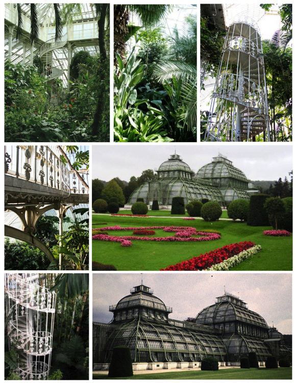 palm house-05