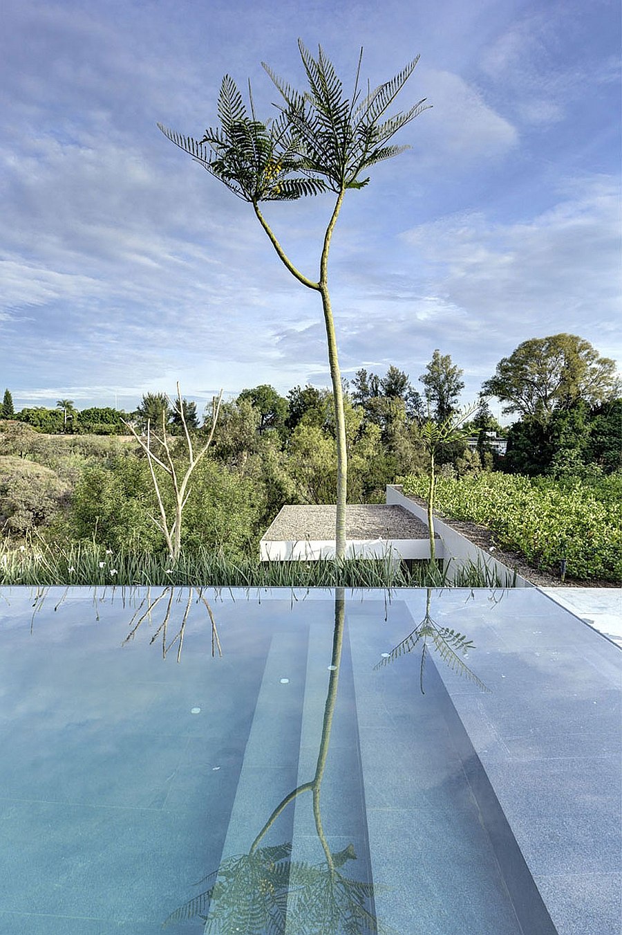 refined mexican residence-06