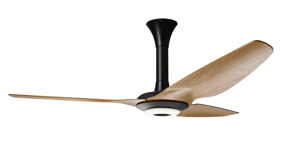 smart ceiling fan-03
