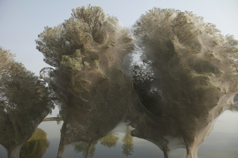 the most incredible natural phenomena-18