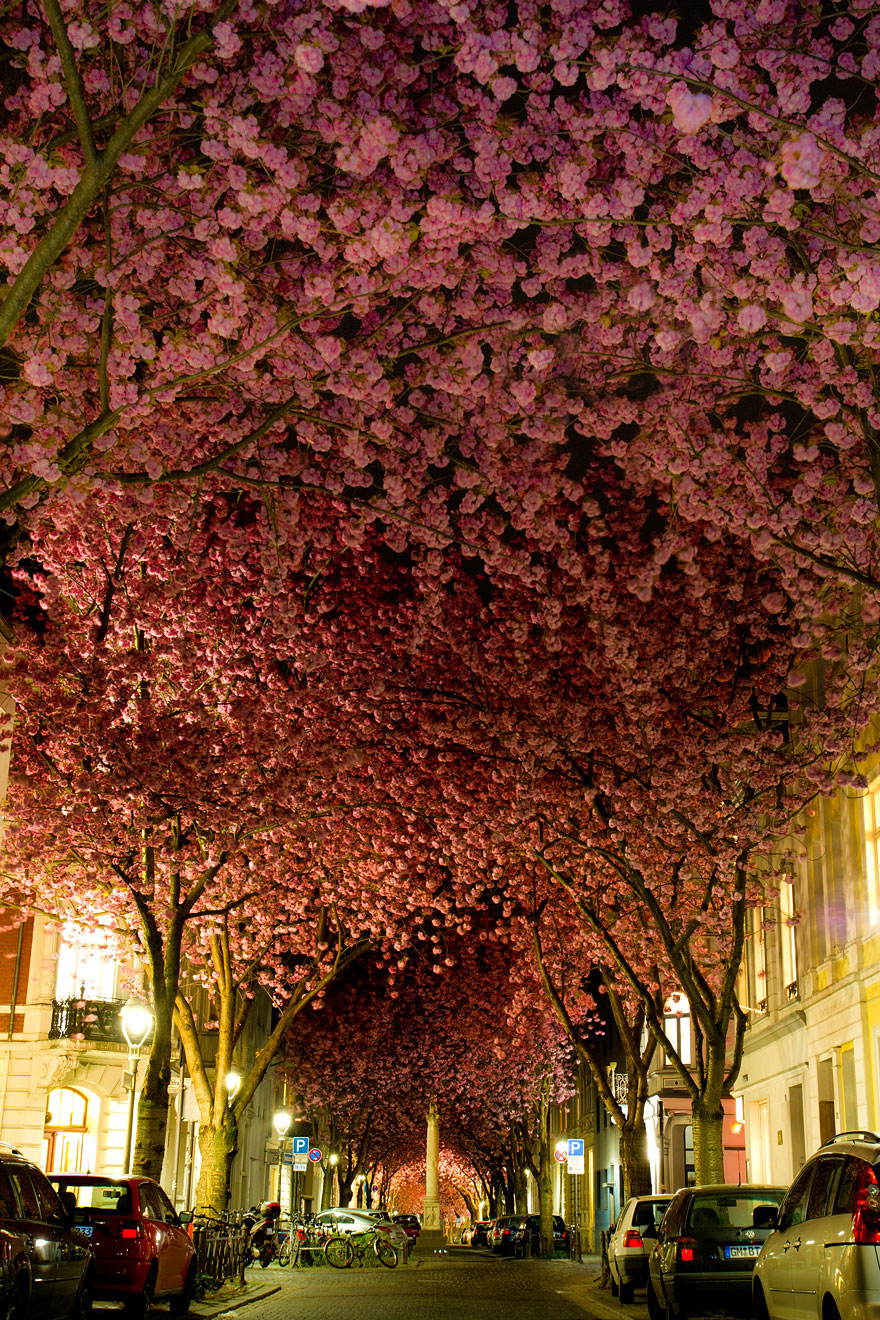 tunnels of branch-03 68982