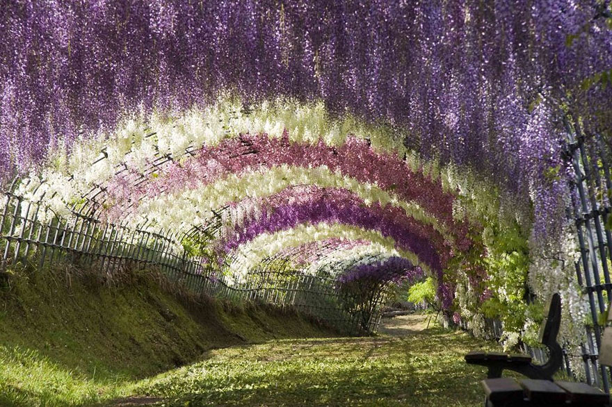 tunnels of branch-05 521159