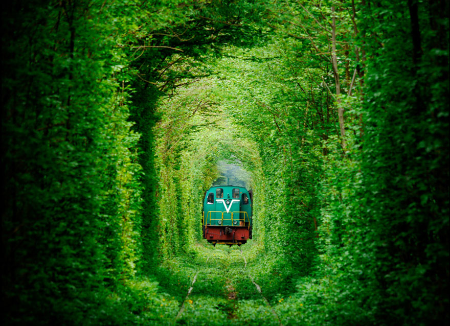 tunnels of branch-09 664220
