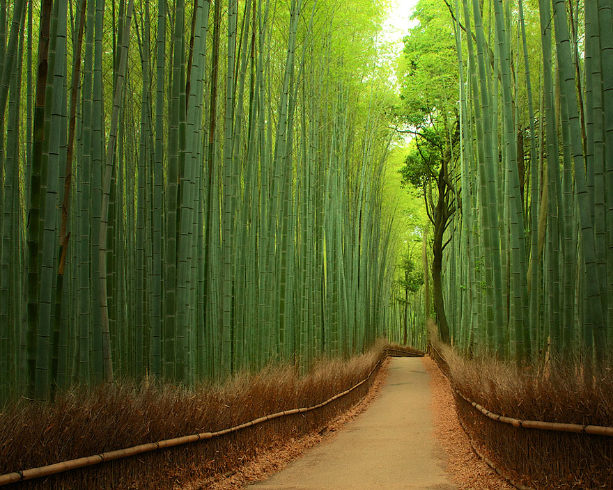 tunnels of branch-13 581342