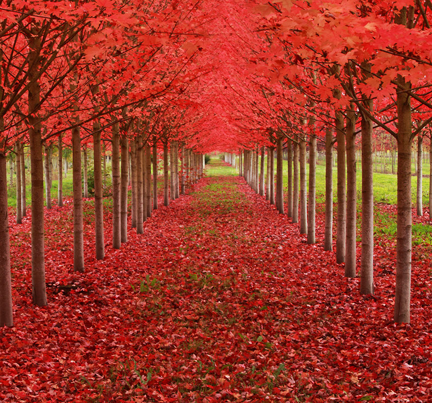 tunnels of branch-14 232243