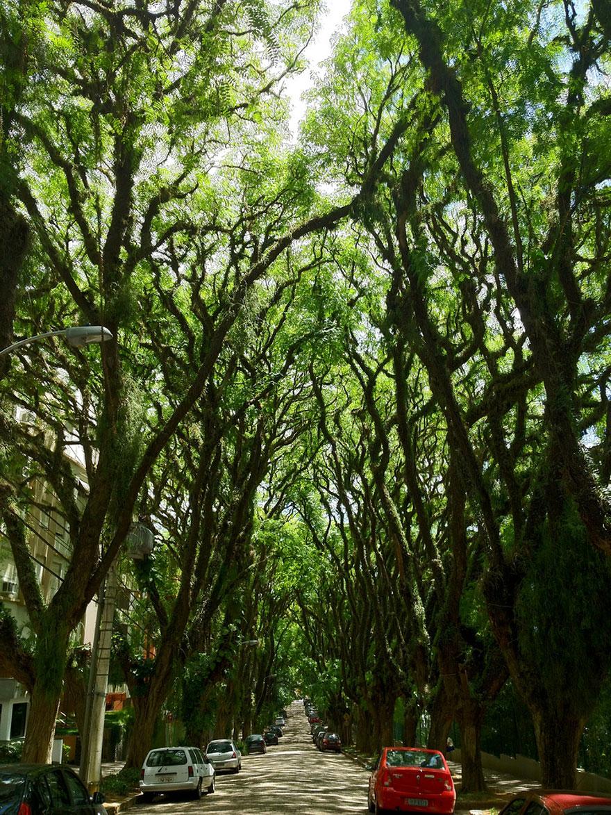 tunnels of branch-16 628764